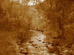 041008 boulder creek1.JPG